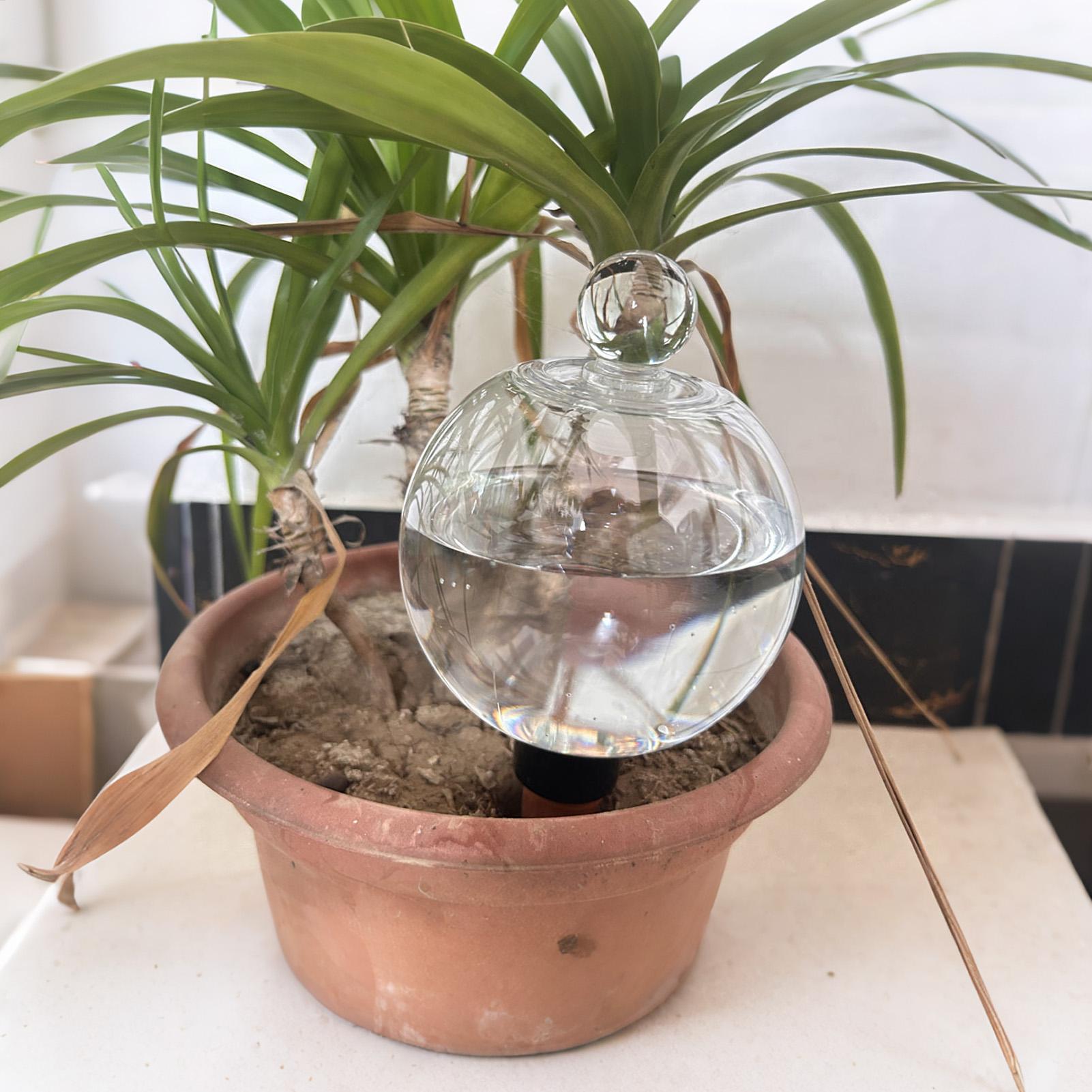 Plant Watering Bulbs 4pcs 500m - Automatic Plant Waterer recension och pris
