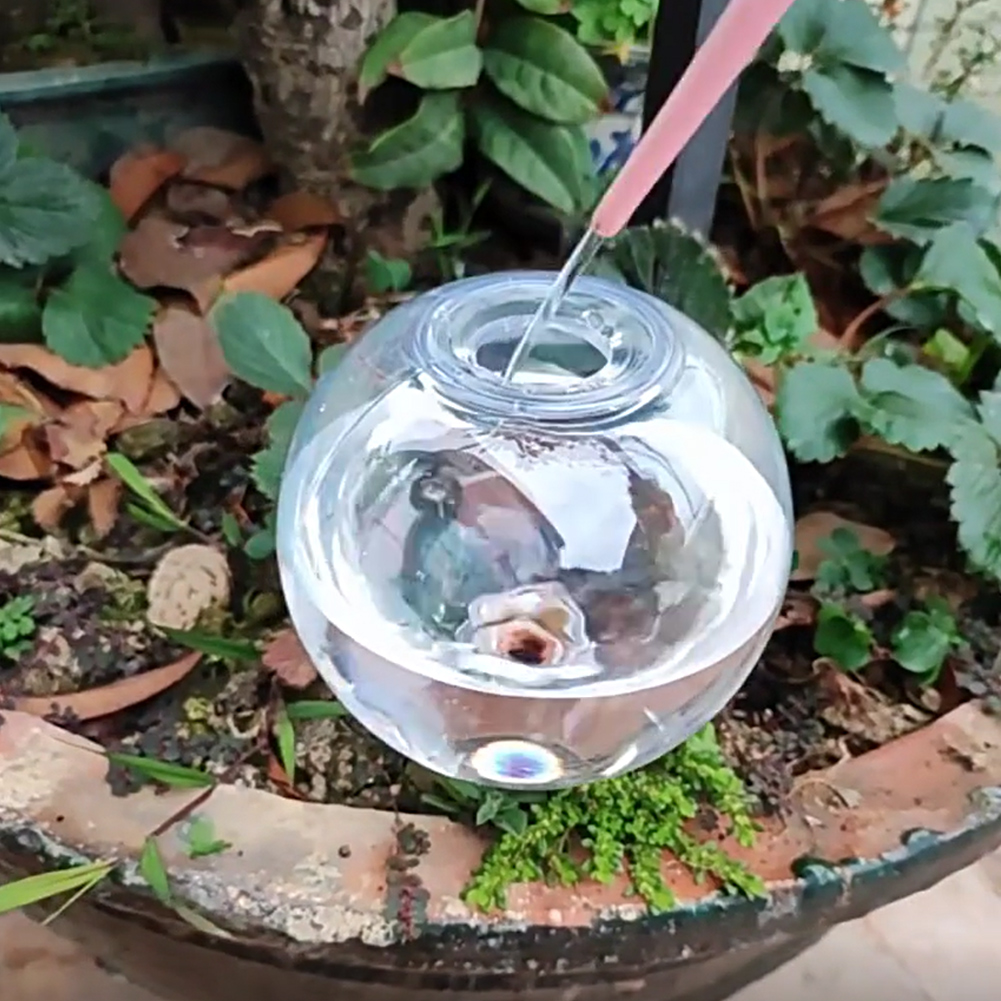 500ML Self Watering Globes Dri - Self-Watering Planter recension och pris