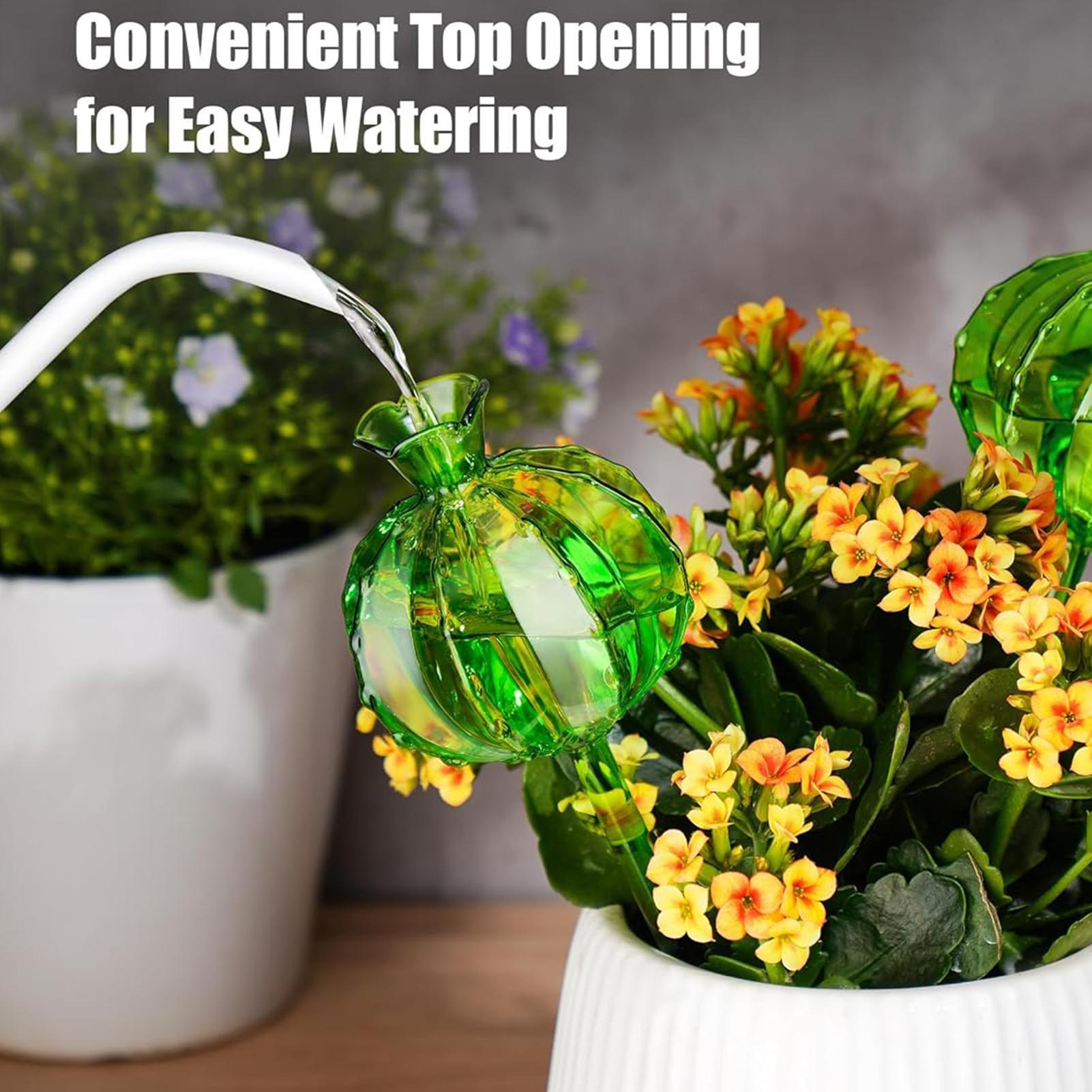 Plant Watering Globes Stakes 3 - Automatic Plant Waterer recension och pris
